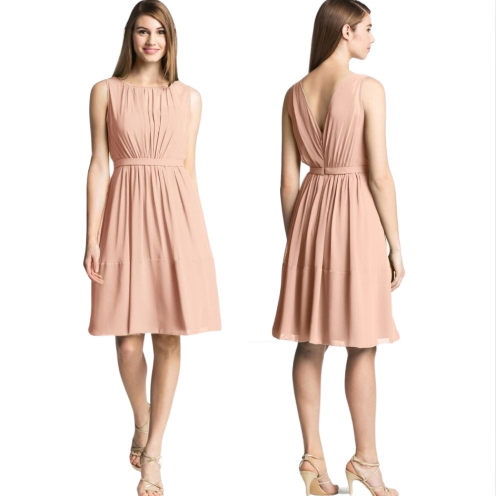 NWT Jenny Yoo 'Charlie' Pleat Chiffon A-Line Dress Sz 10 Blush W-2488